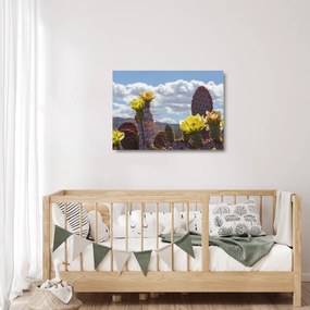 Obraz na szkle opuncji (70x50 cm)
