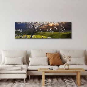 Obraz - Kwitnące drzewo w krajobrazie (170x50 cm)