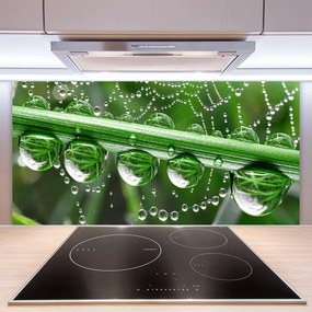 Panel nad blat kuchenny Perlista Pajęczyna W Rosie