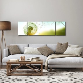Obraz - Dmuchawiec na wietrze (170x50 cm)