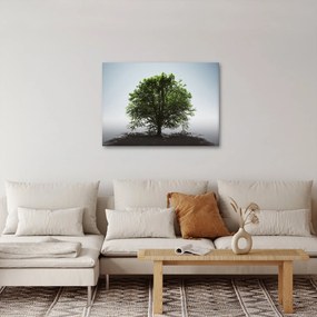 Obraz - Samotne drzewo (70x50 cm)