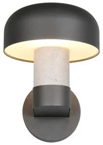Zewnętrzna lampa ścienna (wysokość 24,5 cm) Fraser – Trio