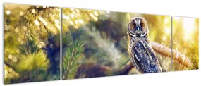 Obraz sowy na drzewie (170x50 cm)
