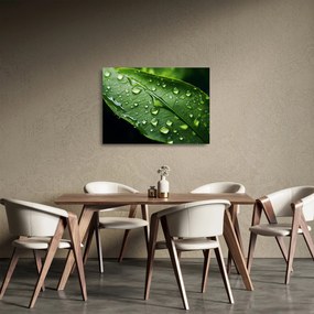 Obraz na szkle - Liść po deszczu (70x50 cm)