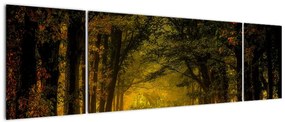 Obraz lasu (170x50 cm)