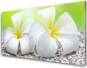 Panel Kuchenny Romantyczna Flora Ogrodowa