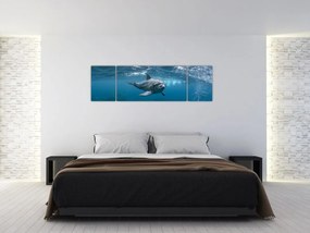 Obraz - Delfin pod wodą (170x50 cm)