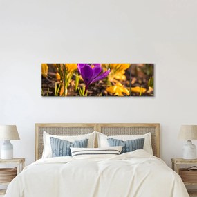 Obraz fioletowego kwiatu (170x50 cm)