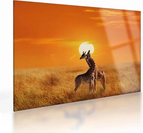 Obraz na szkle - Żyrafy w Parku Narodowym Serengeti (70x50 cm)