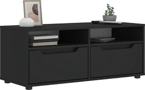 Mebel TV VISNES czarny 100x40x38 cm z 2 szufladami i 2 półkami