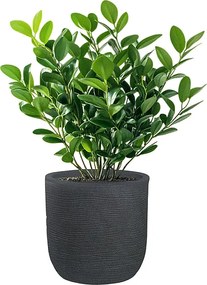 Wazon żywiczny cylindryczny Raffaello Grigio 35x34cm do roślin doniczkowych i ogrodowych