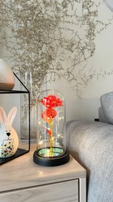 Wieczna róża w szkle ALVA z oświetleniem LED