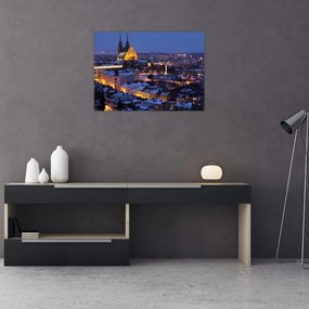 Obraz - Katedra św. Piotra i Pawła, Brno, Czechy (70x50 cm)