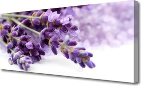 Obraz canvas na ścianę Ogród Botaniczny w Pełni