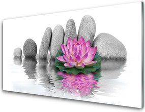 Panel Szklany do Kuchni Balans Natury: Kwiat i Skała