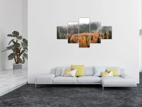 Obraz - Jesienny las (125x70 cm)
