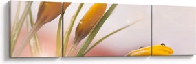 Obraz - Wiosenne kwiaty (170x50 cm)