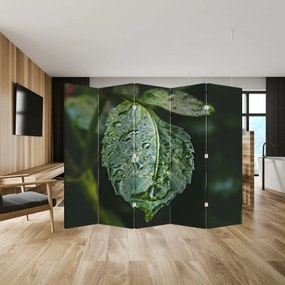 Parawan - Krople na liściu (210x170 cm)