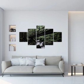 Obraz z czarnego lasu (125x70 cm)