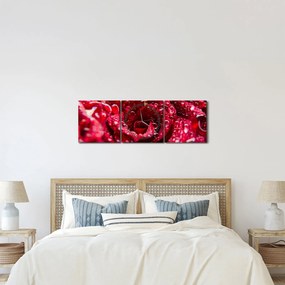 Obraz czerwonego kwiatu róży (z zegarem) (90x30 cm)