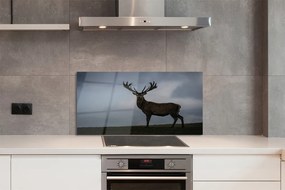 Panel nad Blat Kuchenny Jeleń w Nocnej Scenerii