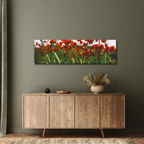 Obraz maków na wietrze (170x50 cm)