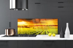 Panel Kuchenny Złota Godzina Nad Polem