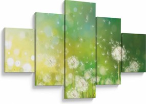 Obraz - Kwitnące mlecze (125x70 cm)