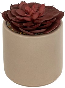 Sztuczny sukulent w doniczce NILS, 12 cm