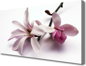 Obraz na płótnie Rozkwitająca Natura w Kwiatach