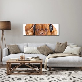 Obraz psa ze słuchawkami (z zegarem) (90x30 cm)