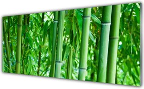 Szkło do Kuchni na Ścianę Zielony Pęd Bambusa