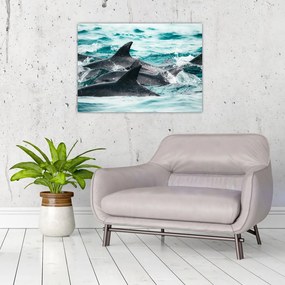 Obraz - Delfiny w oceanie (70x50 cm)