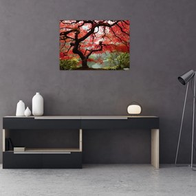 Obraz czerwonego klonu japońskiego, Portland, Oregon (70x50 cm)