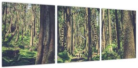 Obraz ścieżki pomiędzy drzewami (z zegarem) (90x30 cm)