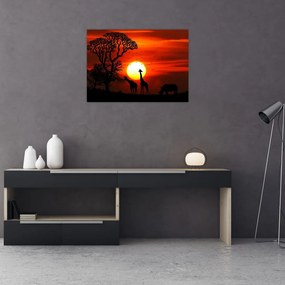 Obraz na szkle - Sylwetki zwierząt o zachodzie słońca (70x50 cm)