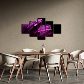 Obraz  - Kropla wody (125x70 cm)