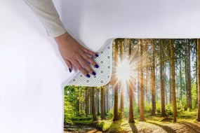 Dywanik łazienkowy Dywanik łazienkowy Krajobraz Las