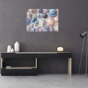 Obraz na szkle - Kolekcja muszli (70x50 cm)