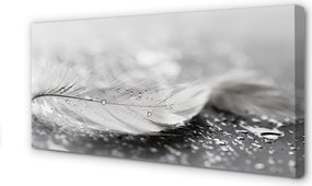 Obraz canvas na ścianę Delikatne Krople na Piórku