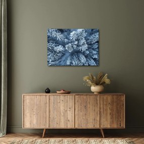 Obraz - Śnieżny las (70x50 cm)