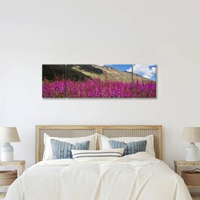 Obraz scenerii łąki górskiej (170x50 cm)