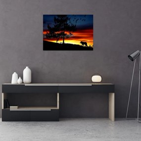 Obraz - Sylwetka wilka (70x50 cm)