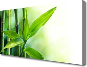 Fotoobraz na płótnie Egzotyczny Detal Liścia