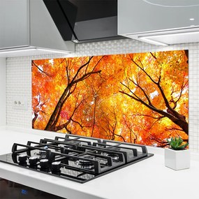 Szkło do Kuchni na Ścianę Gęsty Las Liściasty