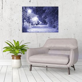 Obraz na szkle - Magiczna zimowa noc (70x50 cm)