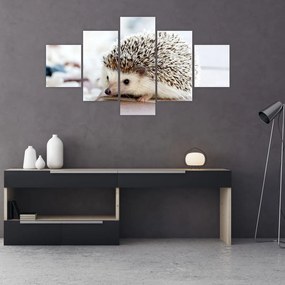 Obraz jeża (125x70 cm)