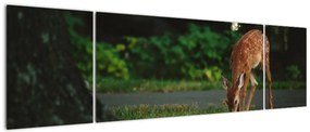 Wizerunek jelonka (170x50 cm)