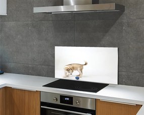 Panel szklany do Kuchni Radosna Zabawa Psa