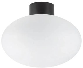 Ideal Lux - Lampa sufitowa zewnętrzna CLIO 1xE27/42W/230V IP44 czarna
